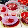 Сервіз столовий 46 предметів Luminarc Red Orchis N4828