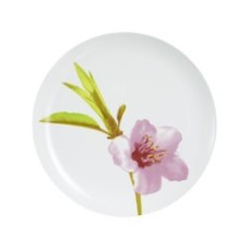 Тарелка обеденная Luminarc water color 25см