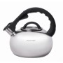 Чайник Kamille 2.8л из нержавеющей стали со свистком и стеклянной крышкой для индукции и газа KM-0687
