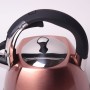 Чайник из нержавеющей стали со свистком 3 л Kamille KM-0697