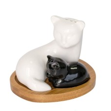 Набір для спецій сіль/перець 